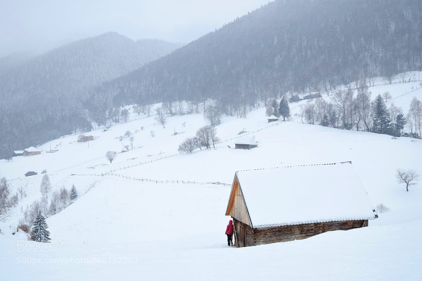 Fujifilm X-T1 sample photo. White canvas photography