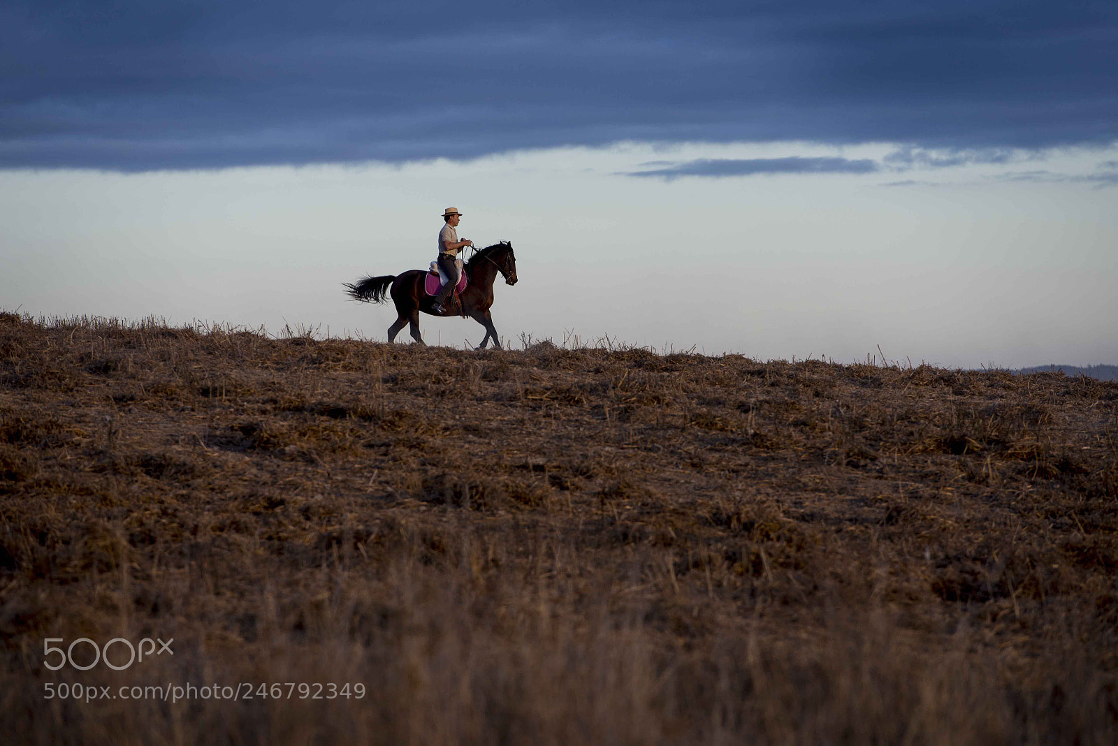 Nikon D800 sample photo. Alentejo, ruta vicentina photography