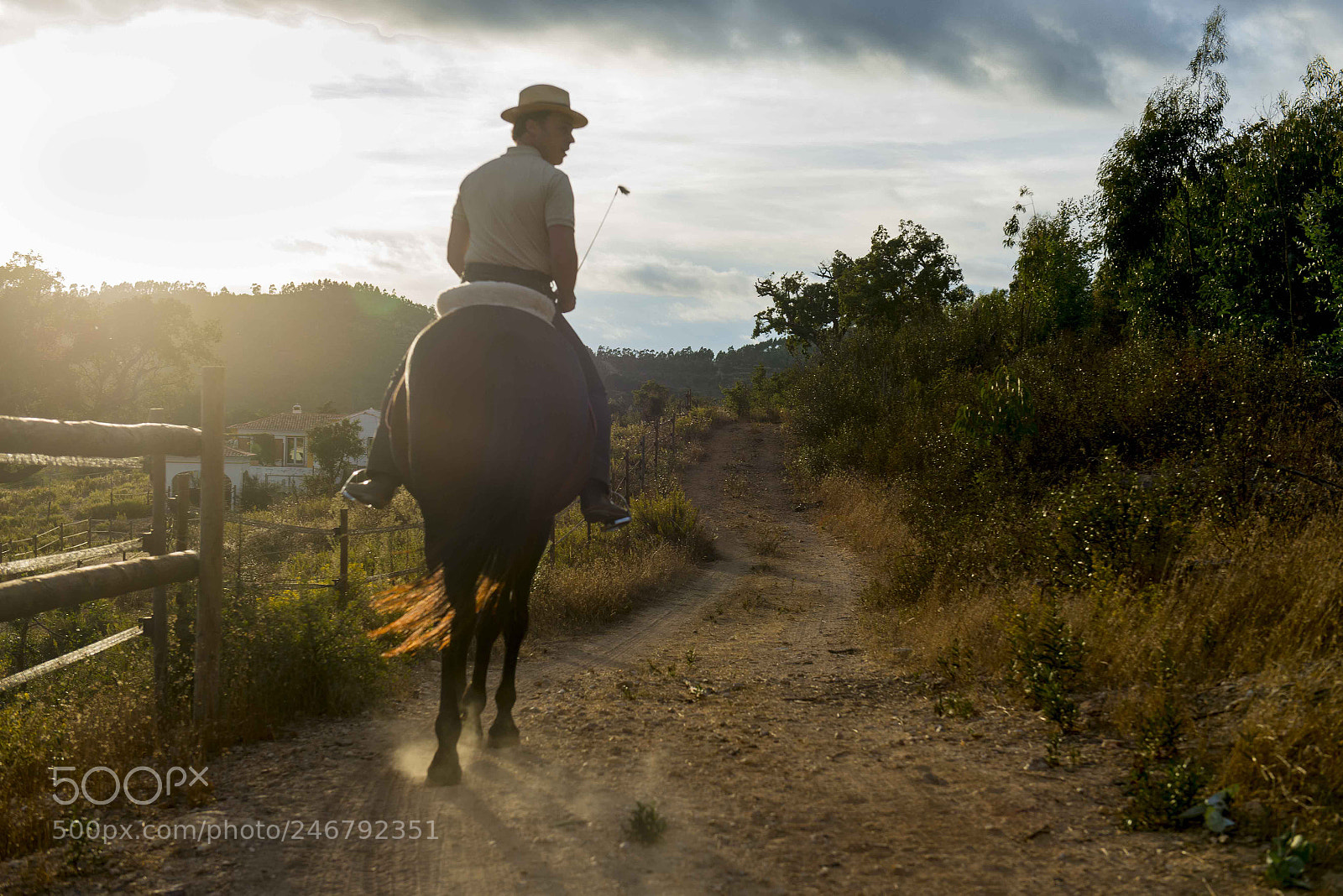 Nikon D800 sample photo. Alentejo, ruta vicentina photography