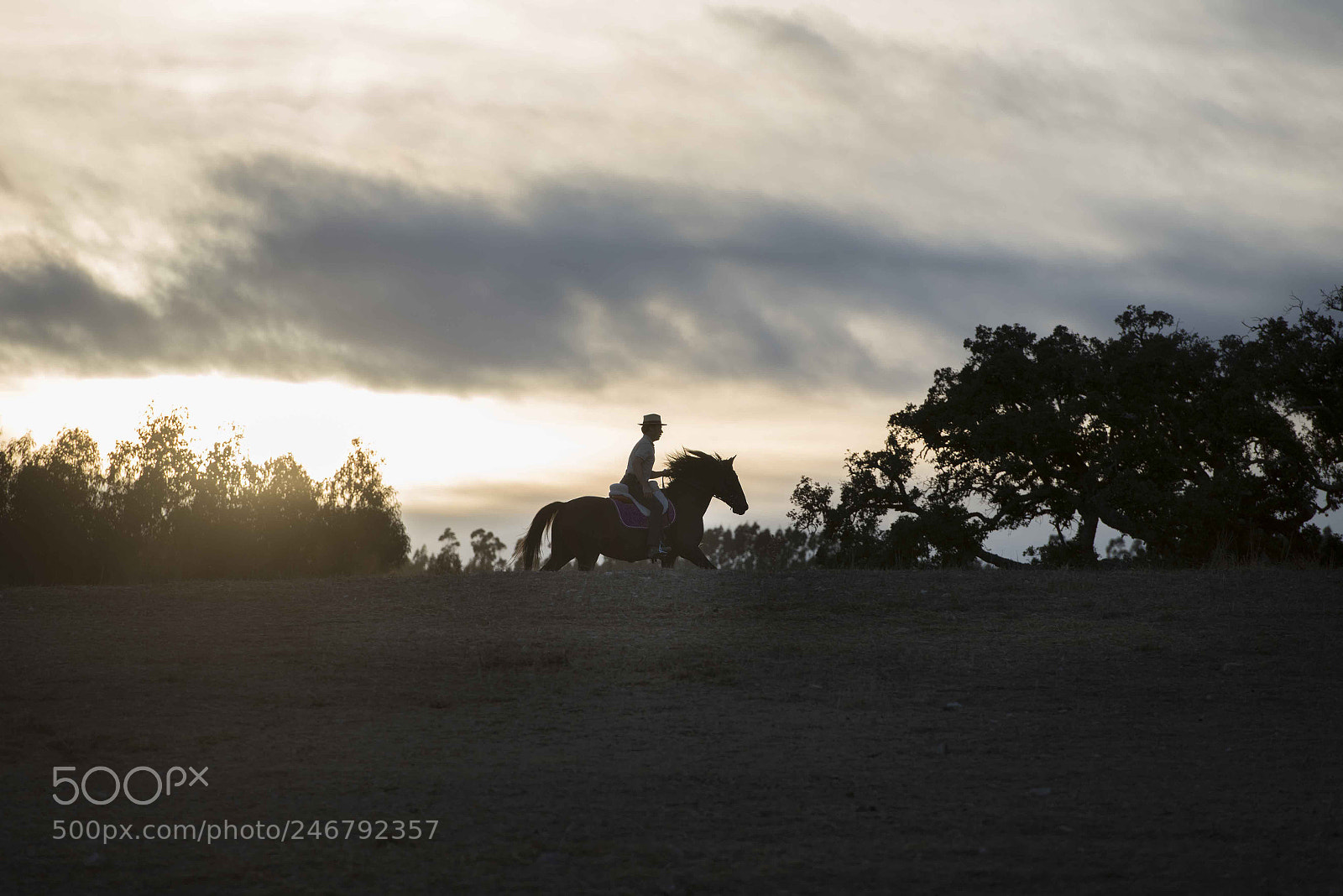 Nikon D800 sample photo. Alentejo, ruta vicentina photography
