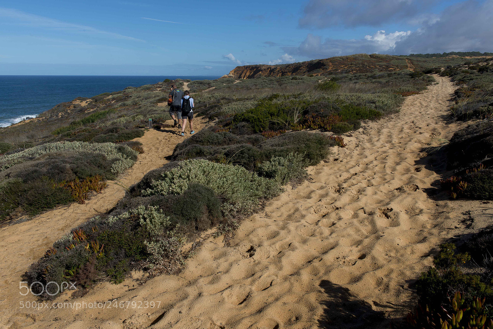 Nikon D800 sample photo. Alentejo, ruta vicentina photography