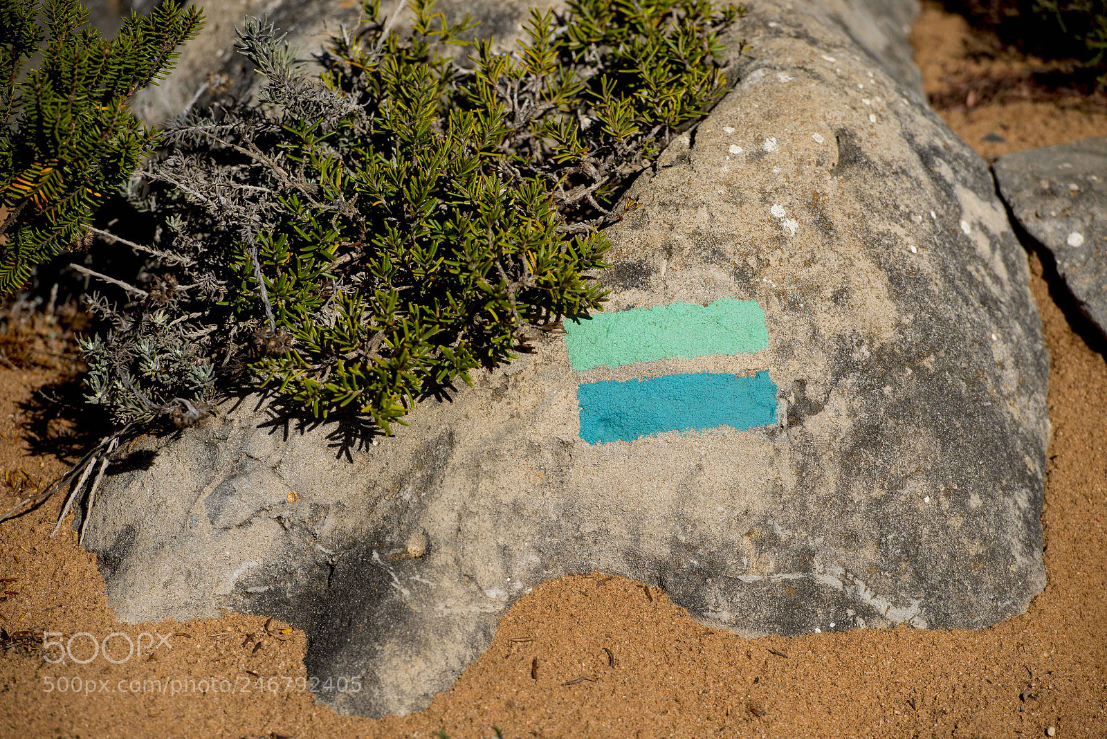 Nikon D800 sample photo. Alentejo, ruta vicentina photography
