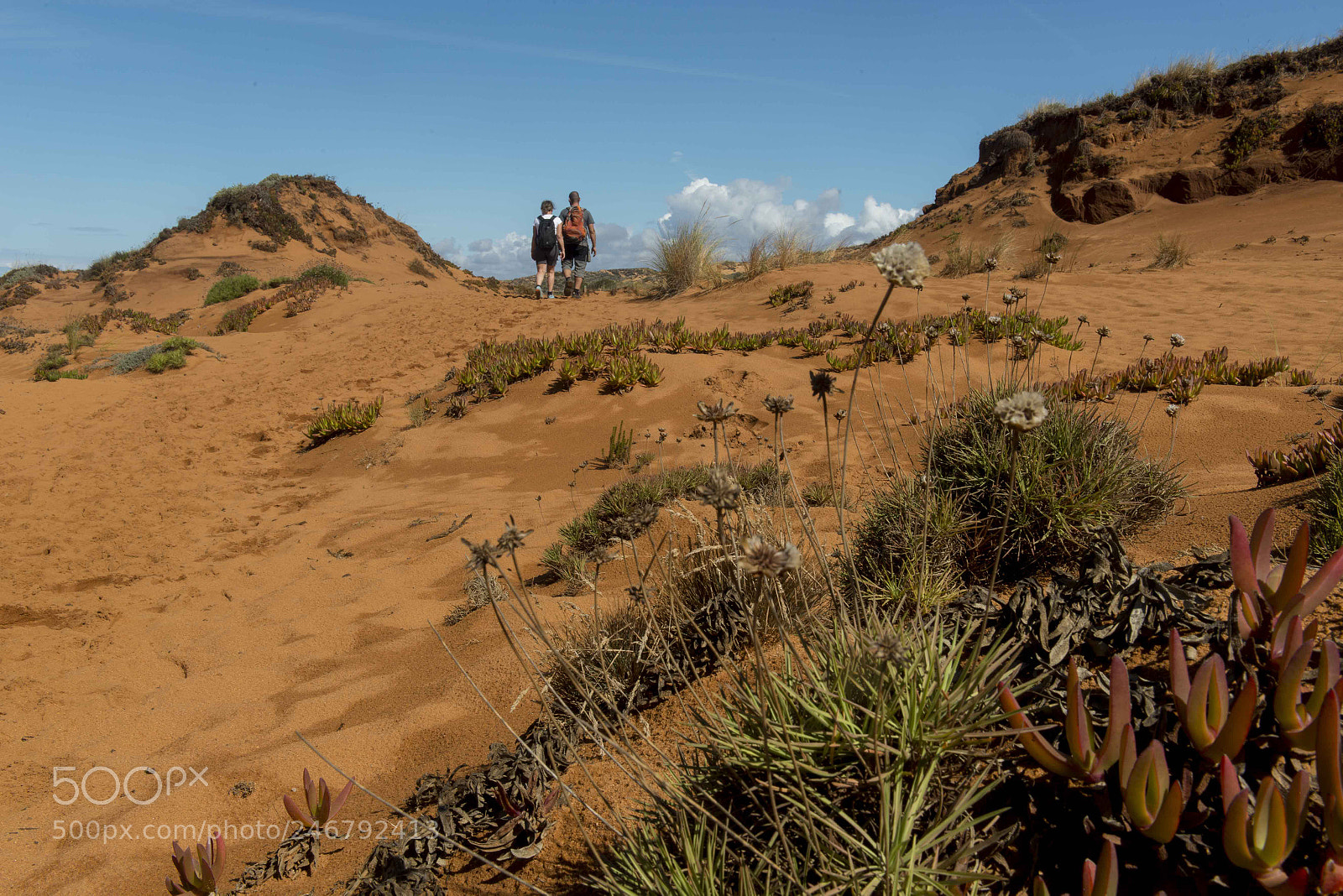 Nikon D800 sample photo. Alentejo, ruta vicentina photography