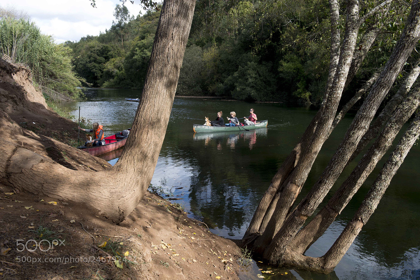 Nikon D800 sample photo. Alentejo, ruta vicentina photography