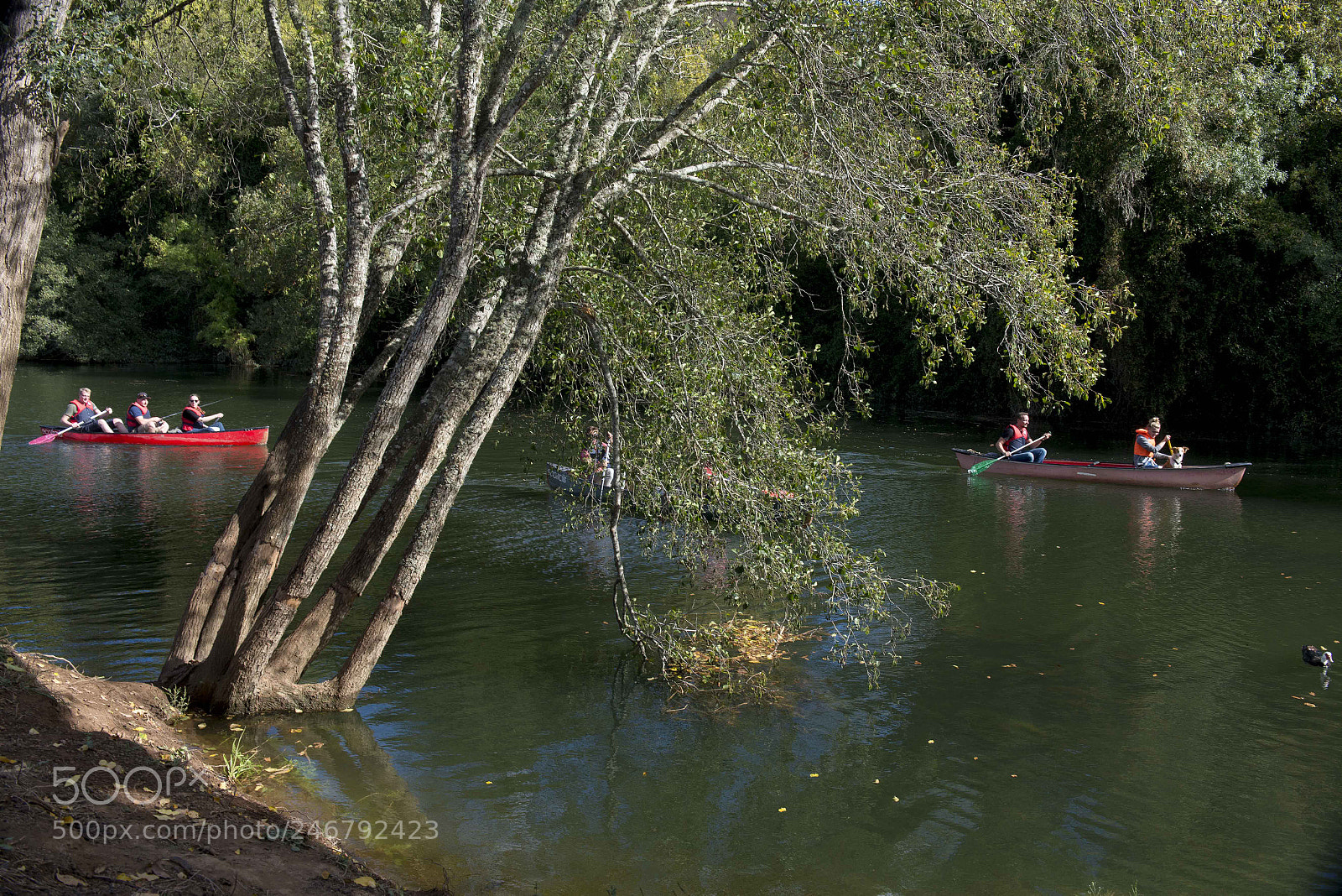 Nikon D800 sample photo. Alentejo, ruta vicentina photography