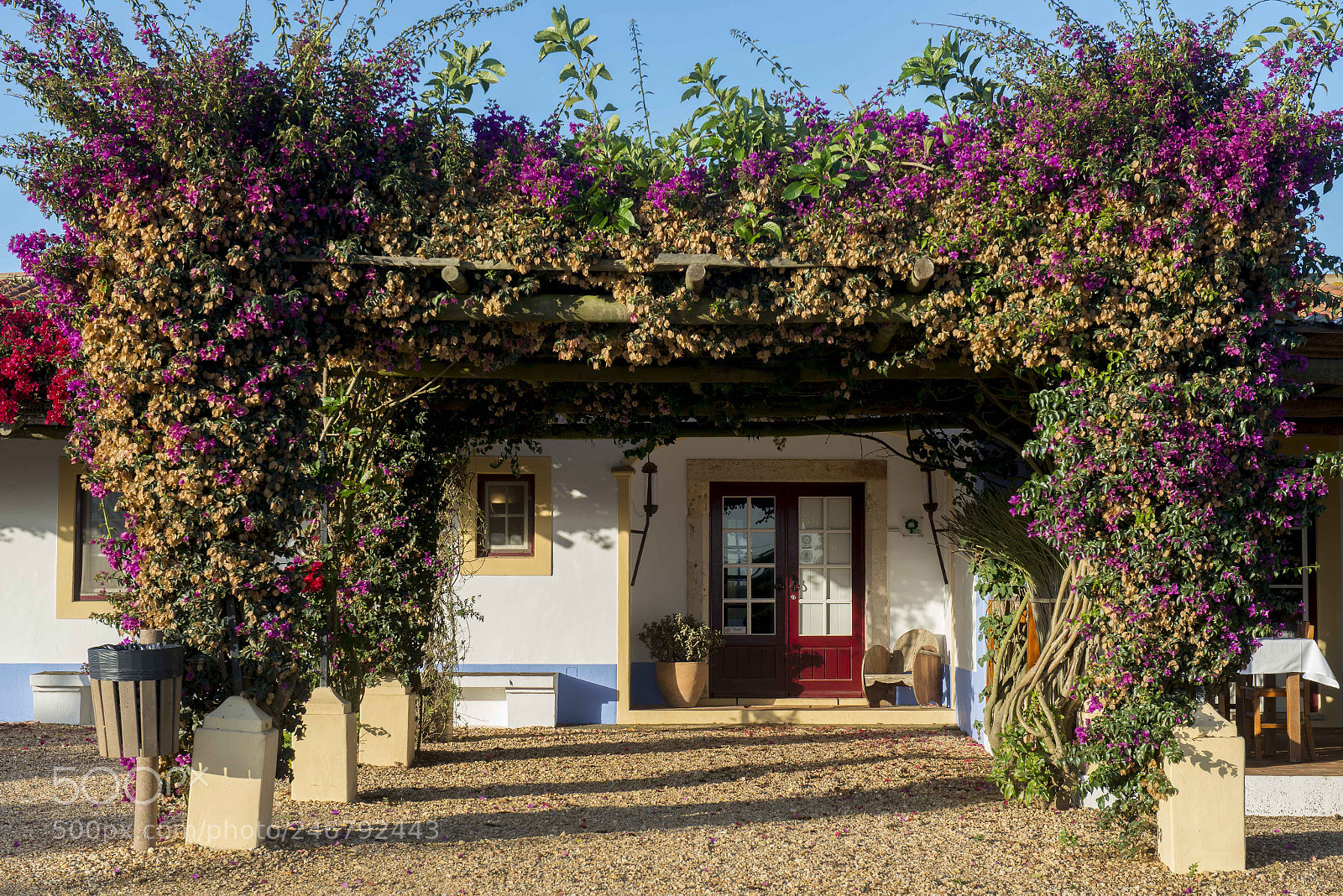 Nikon D800 sample photo. Alentejo, ruta vicentina photography