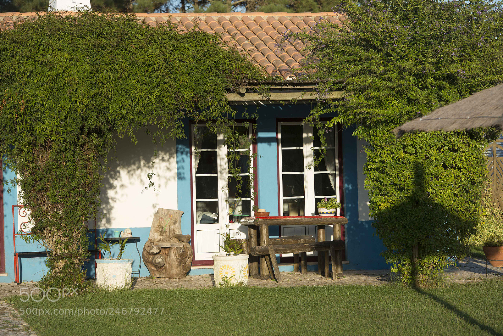 Nikon D800 sample photo. Alentejo, ruta vicentina photography