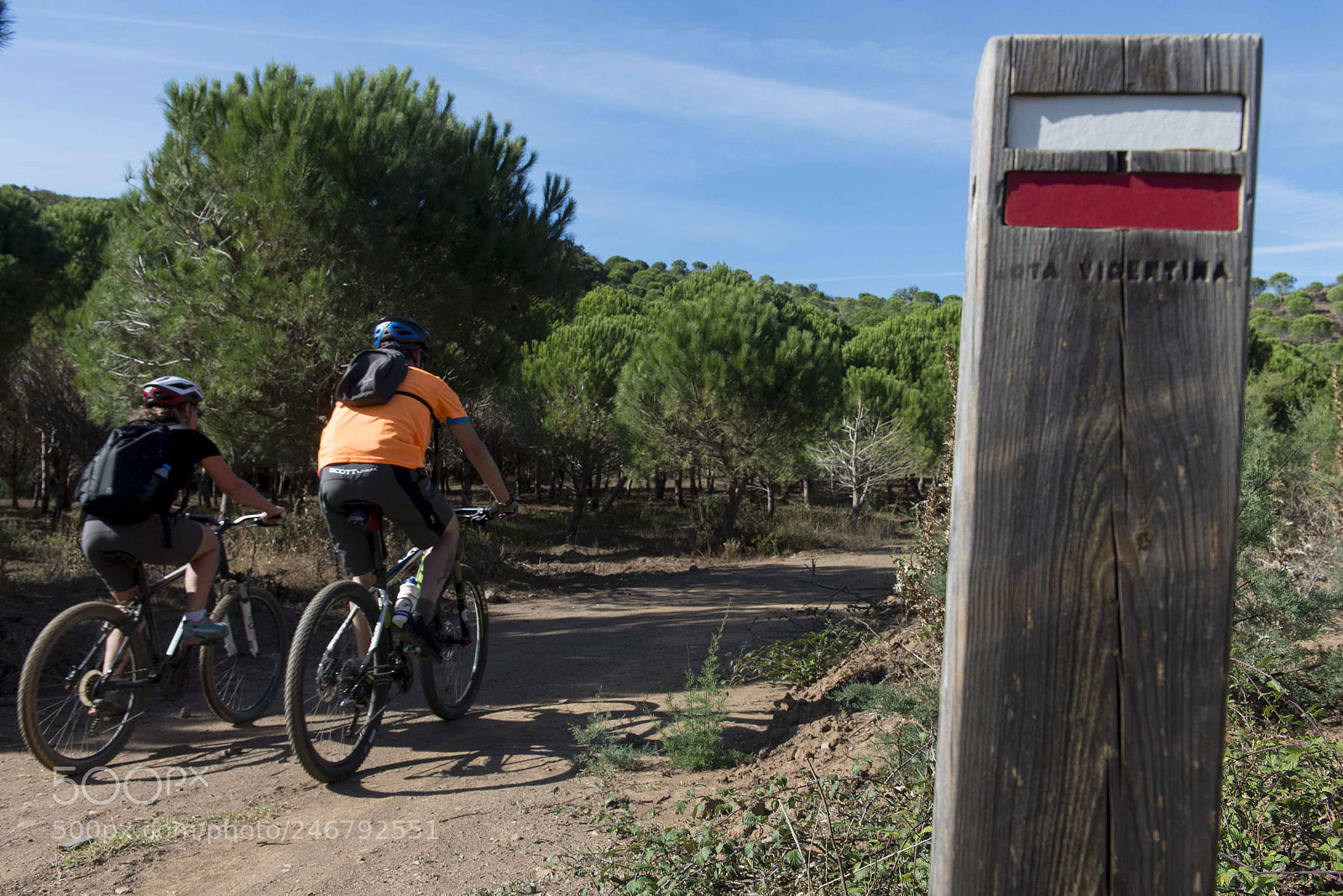 Nikon D800 sample photo. Parco alentajano, rota vicentina photography