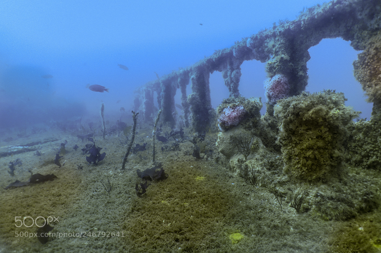 Sony Cyber-shot DSC-RX100 sample photo. Underwater wrecks in san photography
