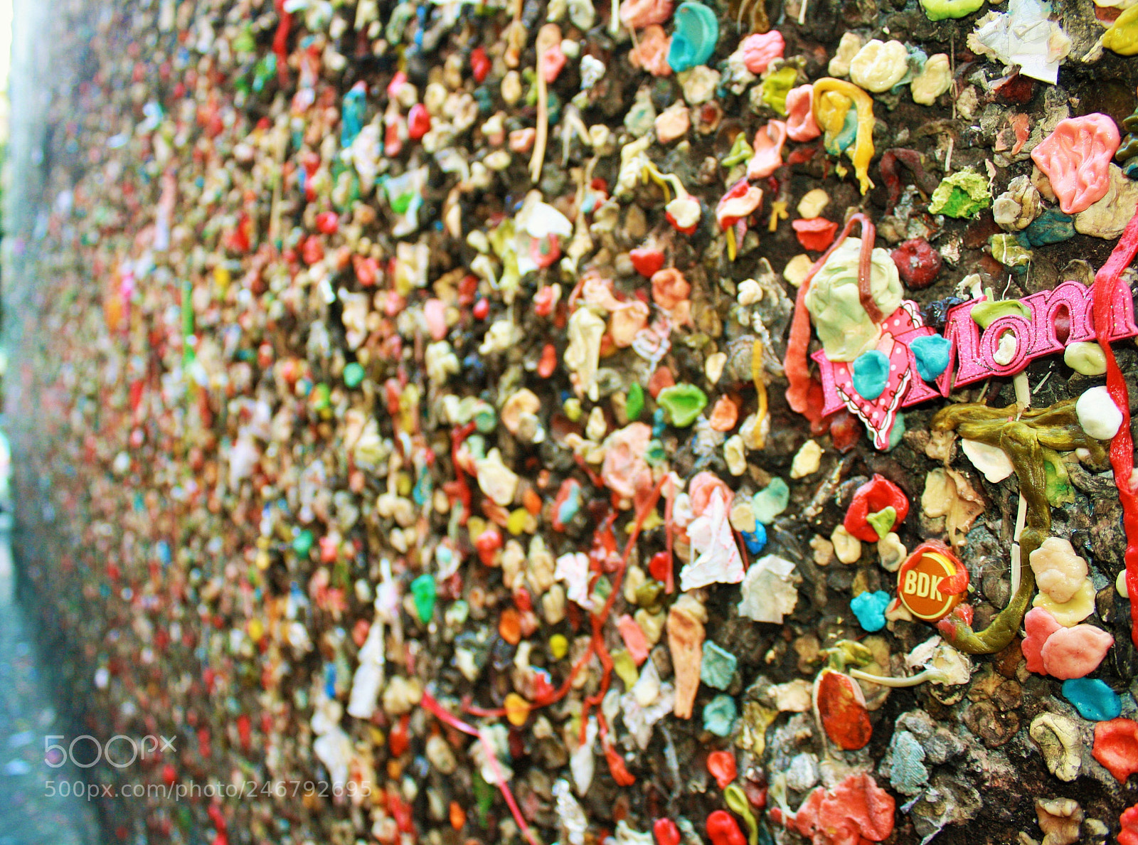 Canon EOS 1000D (EOS Digital Rebel XS / EOS Kiss F) sample photo. Gum alley, slo photography
