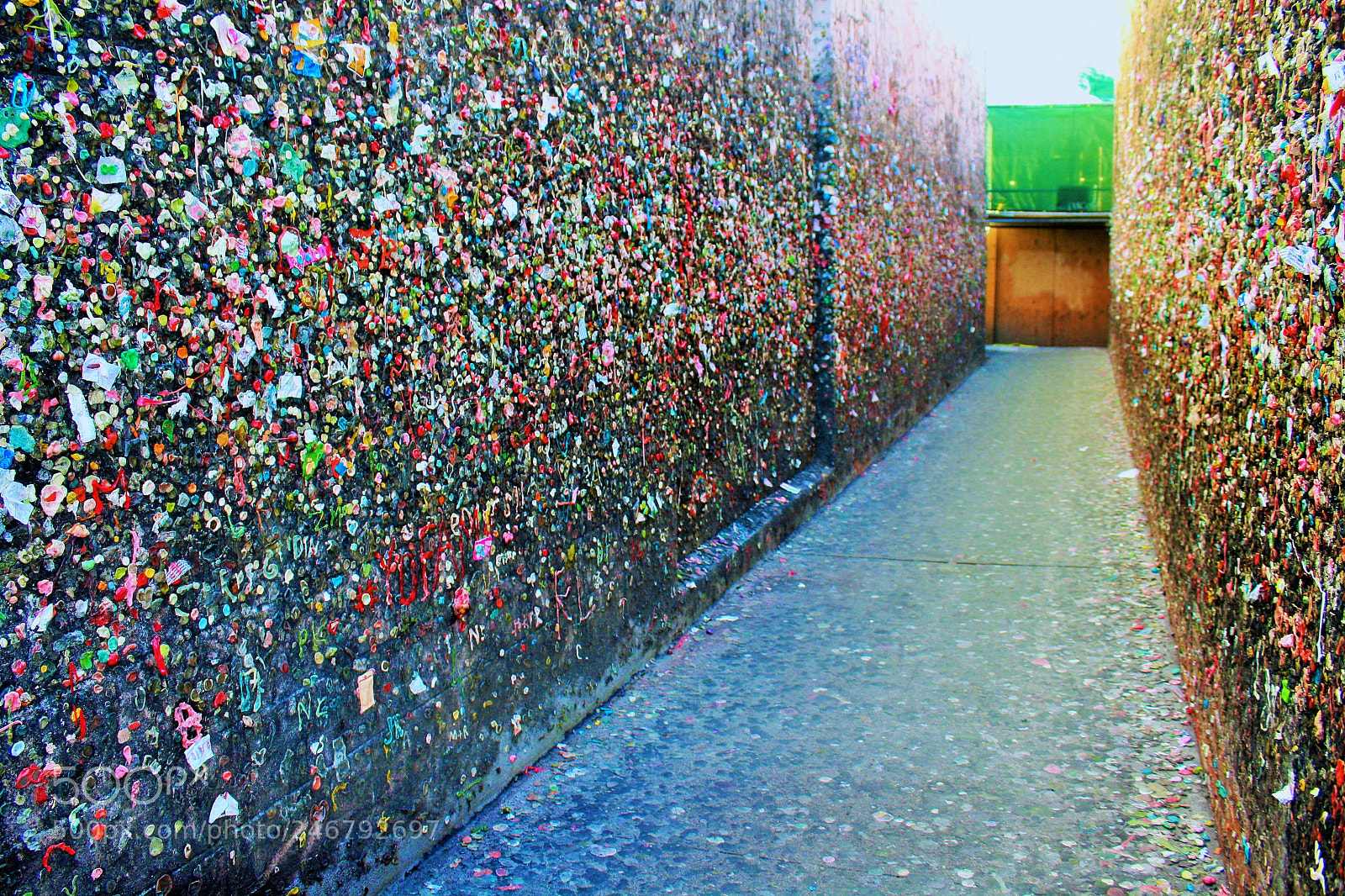Canon EOS 1000D (EOS Digital Rebel XS / EOS Kiss F) sample photo. Bubblegum galore photography