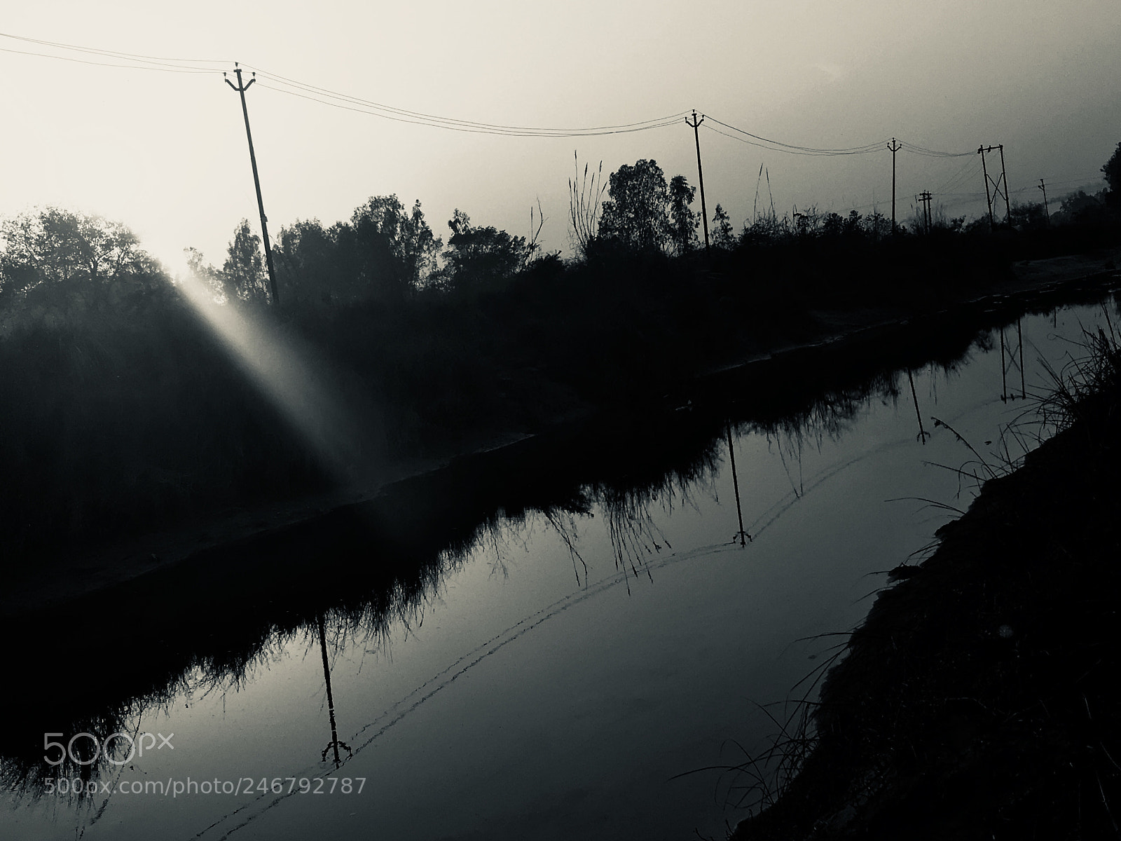 Apple iPhone SE sample photo. Untitled photography