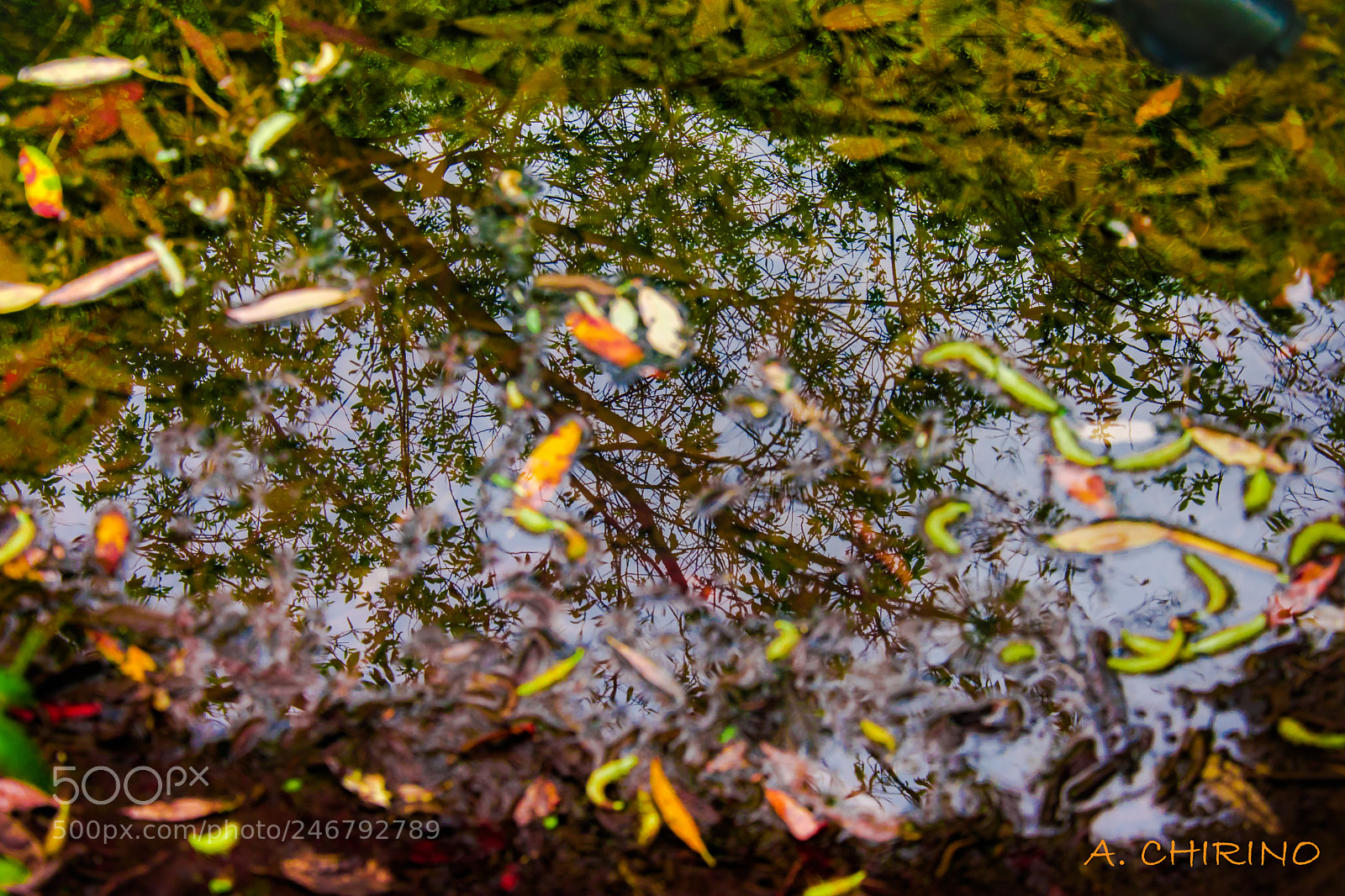 Nikon D3400 sample photo. Reflejo psicodelico photography
