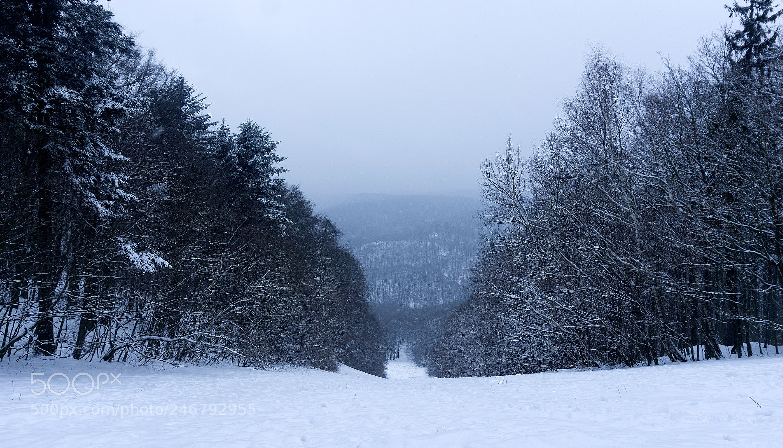 Sony a5100 sample photo. On a snowy hill photography