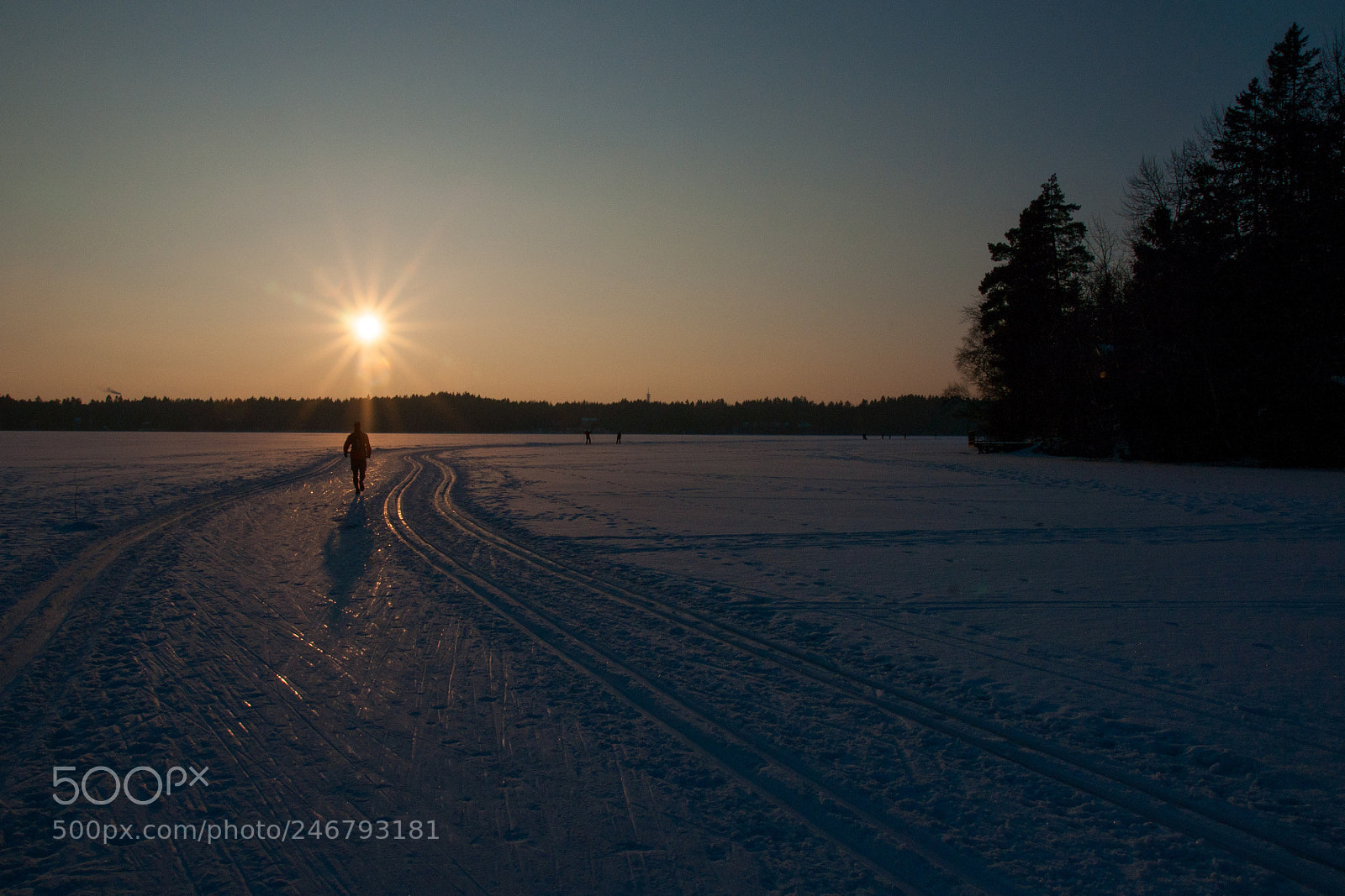 Sony Alpha DSLR-A700 sample photo. Late afternoon run photography