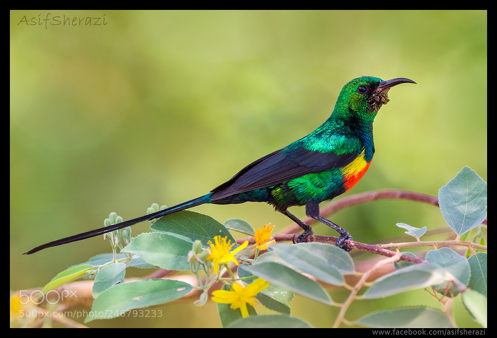 Nikon D5 sample photo. Beauty of the nature photography