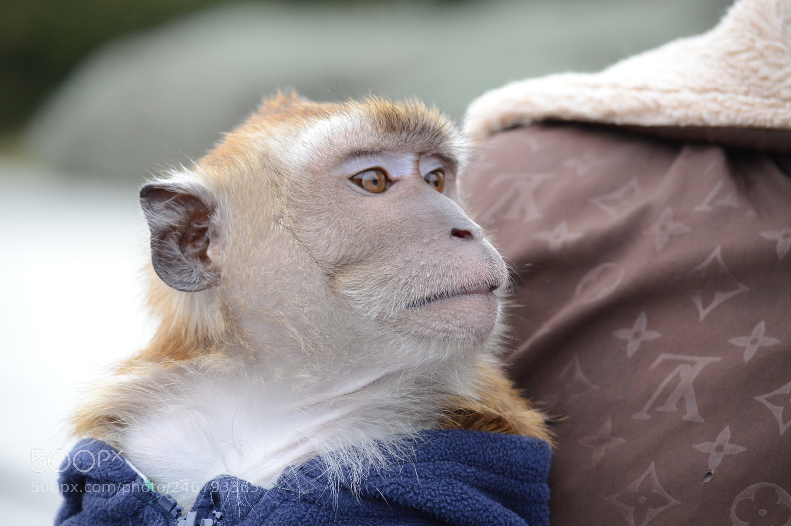 Nikon D3200 sample photo. Untitled photography