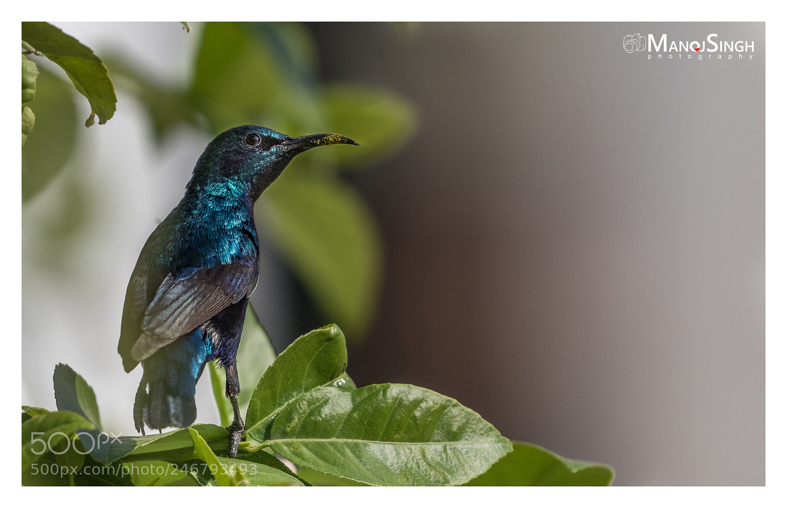 Canon EOS 7D Mark II sample photo. Ua photography