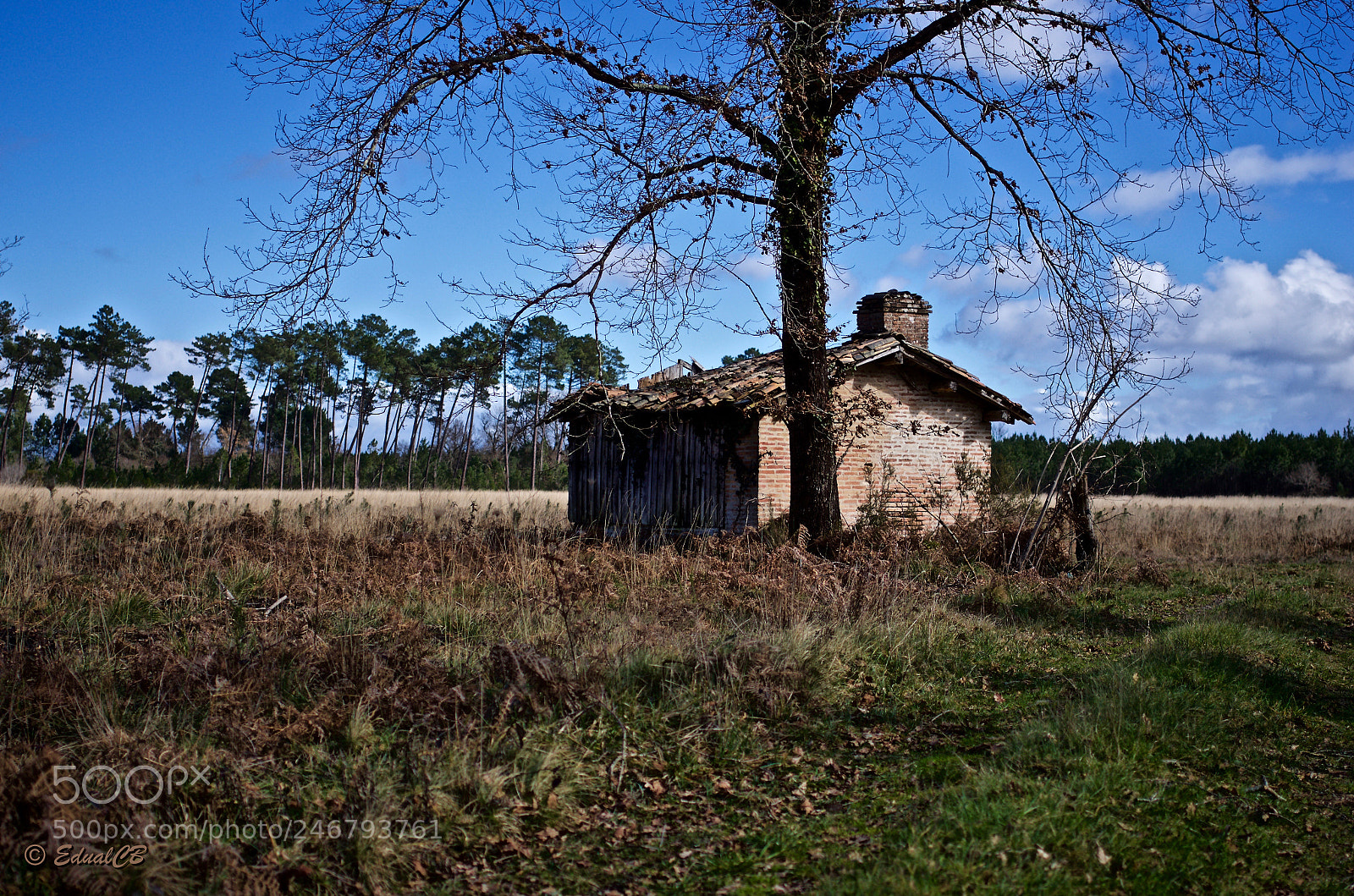 Pentax K-5 sample photo. Old hut in the photography