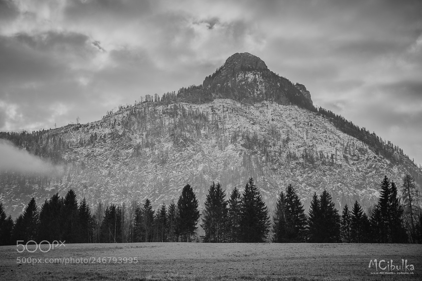 Sony a7R sample photo. Giant photography