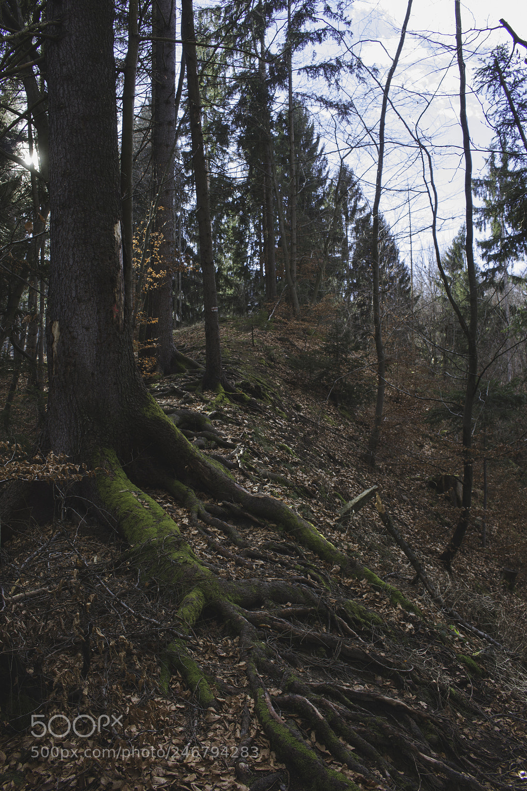 Canon EOS 700D (EOS Rebel T5i / EOS Kiss X7i) sample photo. Hike photography