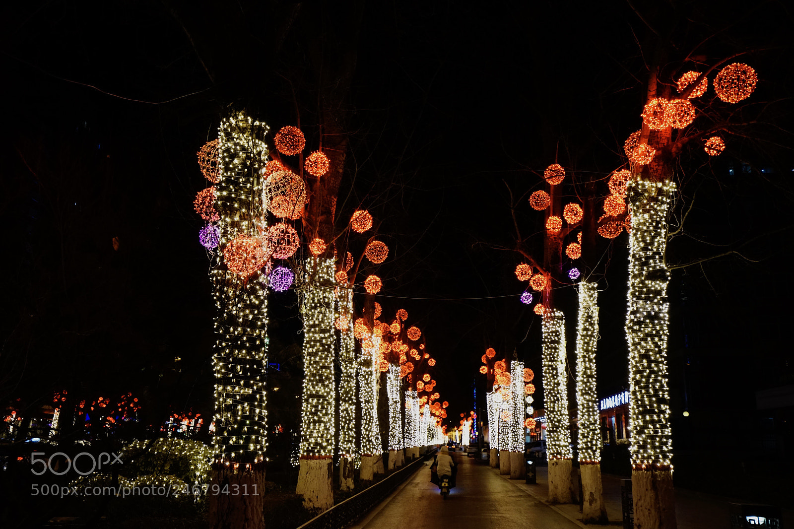 Sony a7 II sample photo. 整齊排列 photography
