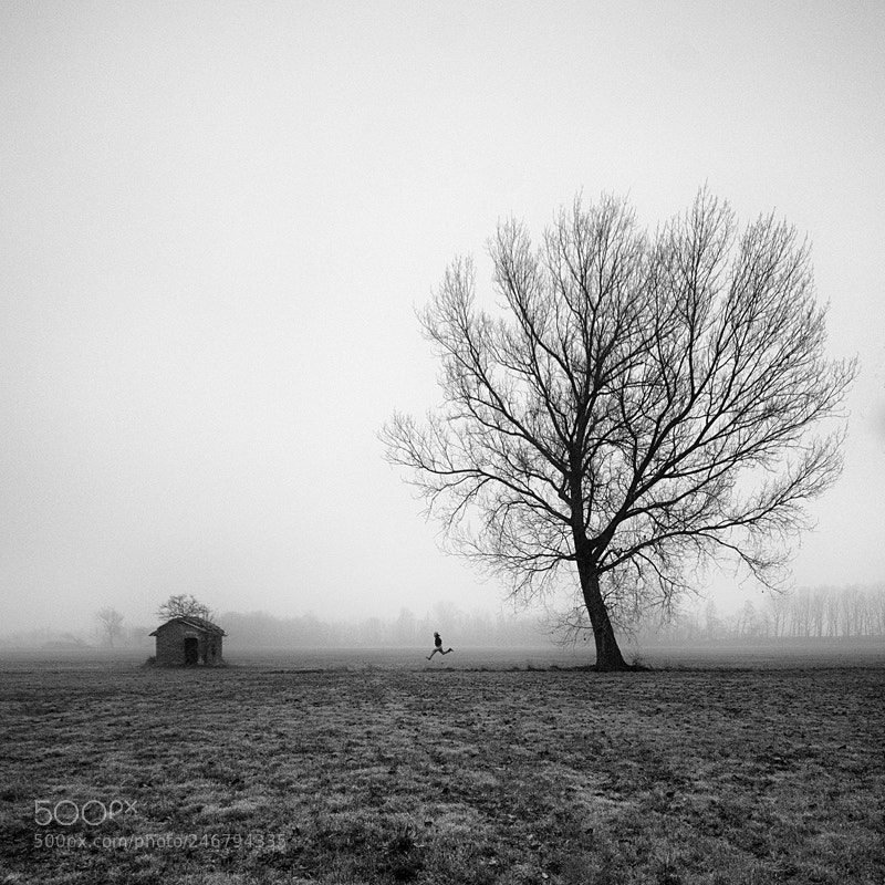Nikon D300 sample photo. Gone with the wind photography