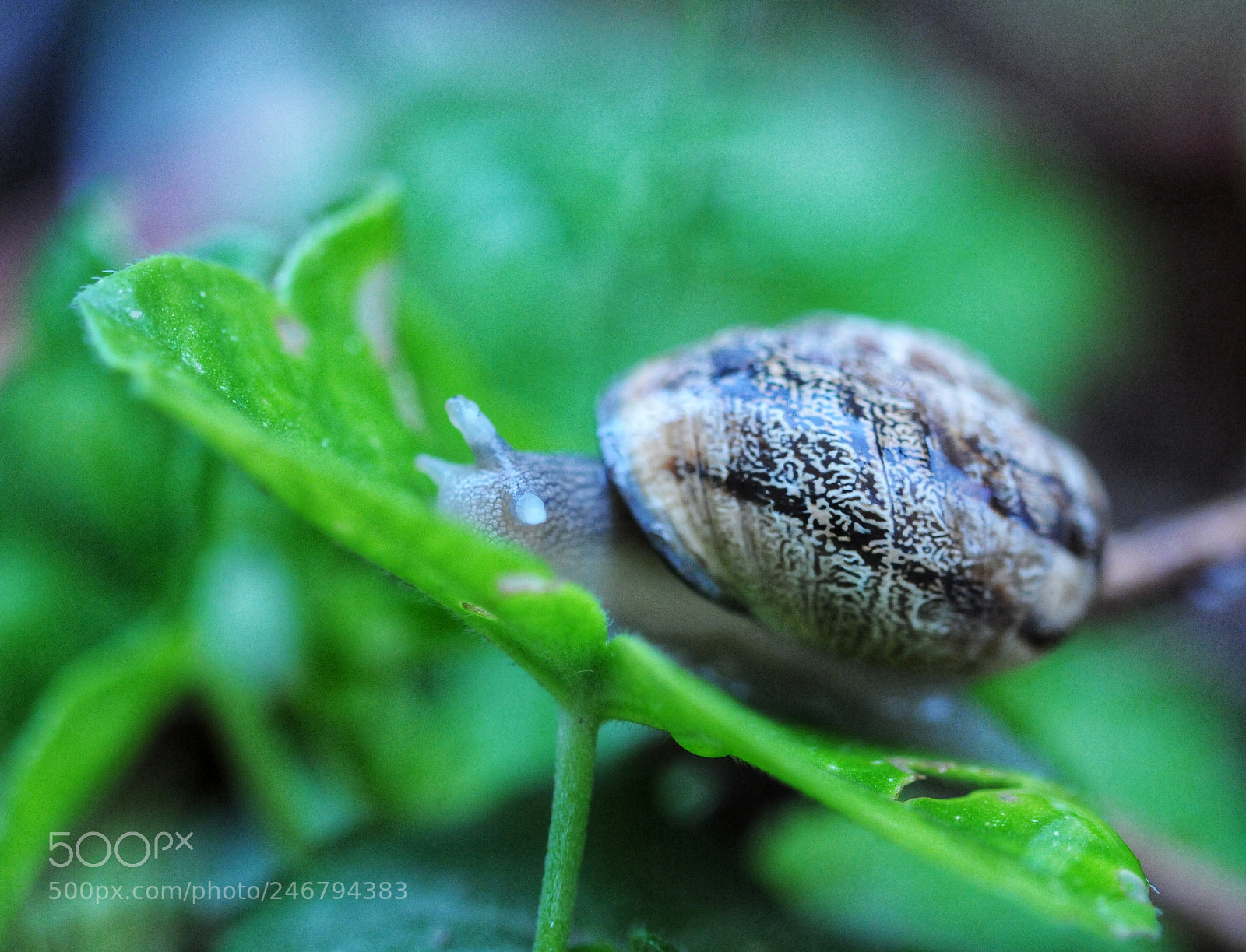 Nikon D300S sample photo. Untitled photography