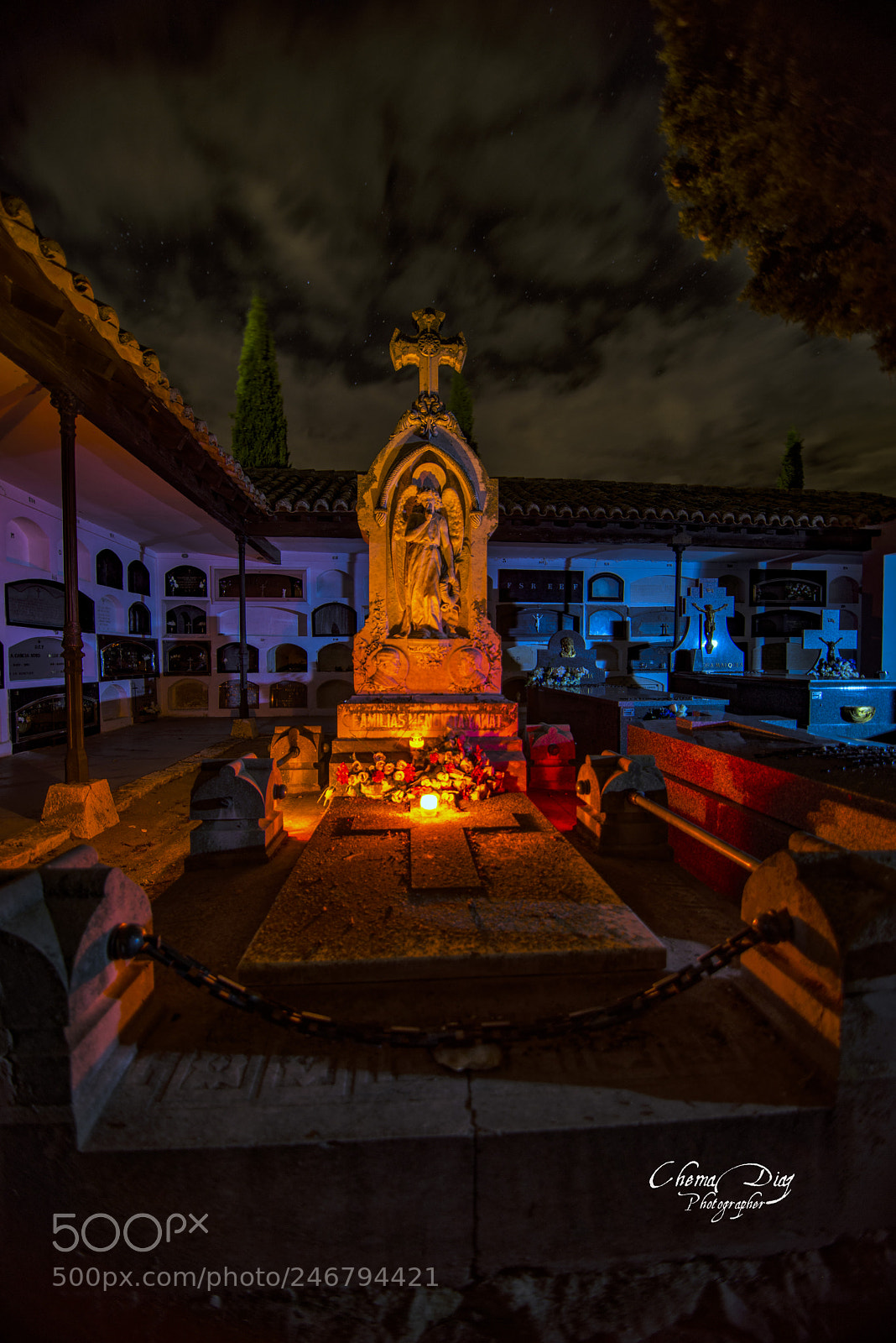 Nikon D800 sample photo. Dead. photography