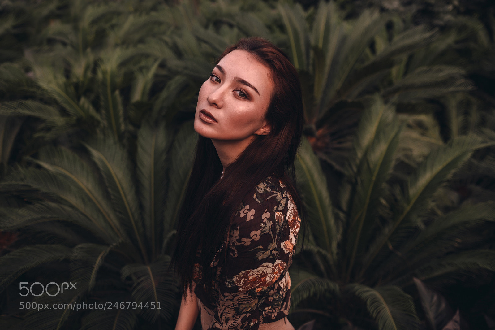 Fujifilm X-T2 sample photo. Untitled photography