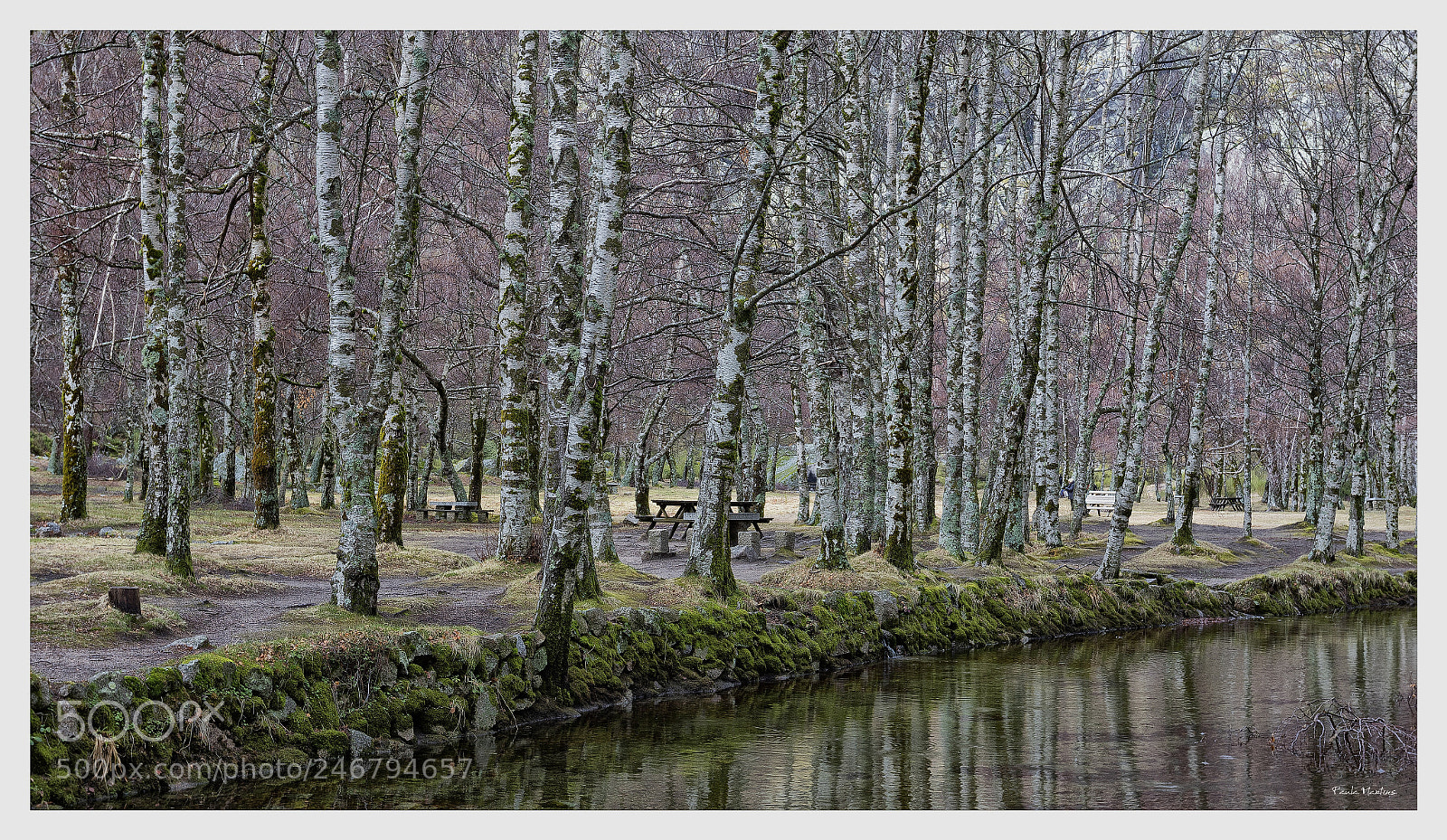 Canon EOS 7D Mark II sample photo. Winter with no snow photography