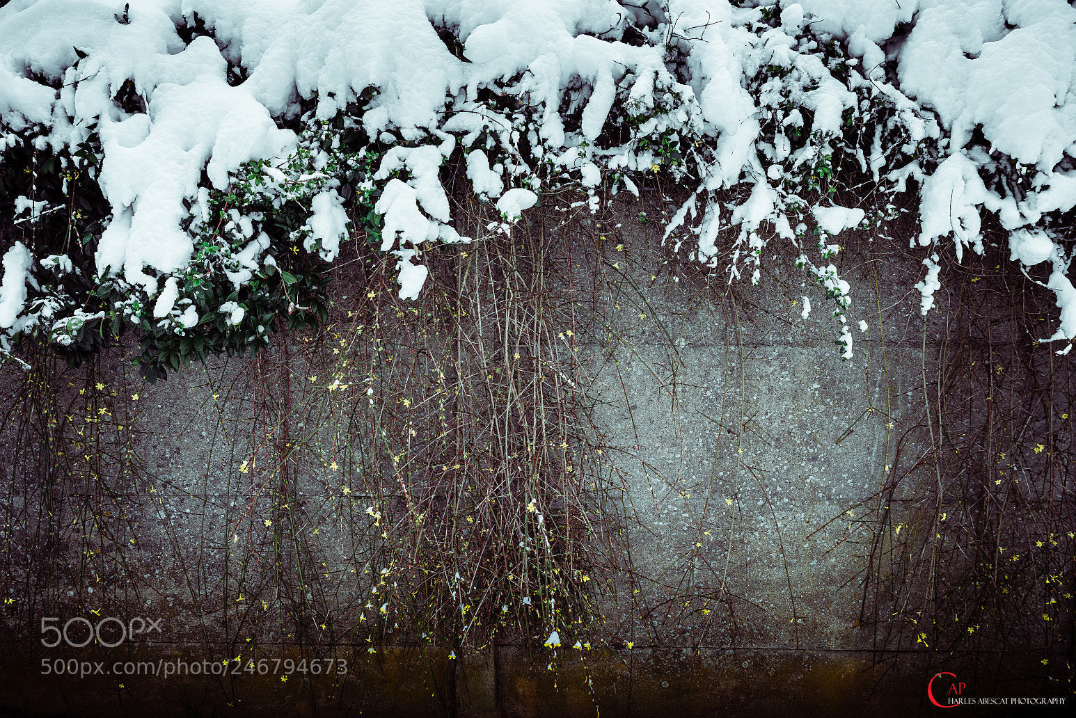 Pentax K-1 sample photo. The wall photography