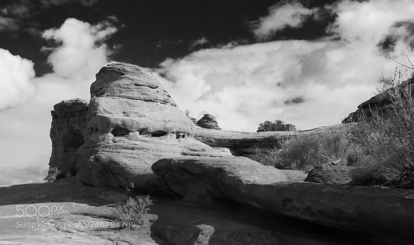 Canon PowerShot SX60 HS sample photo. Stretch photography