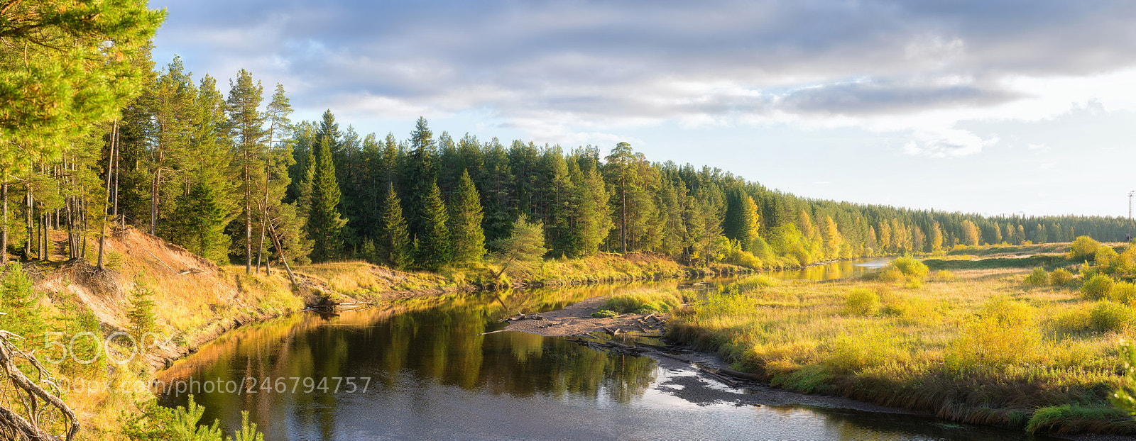 Nikon D610 sample photo. 852. on the autumn photography