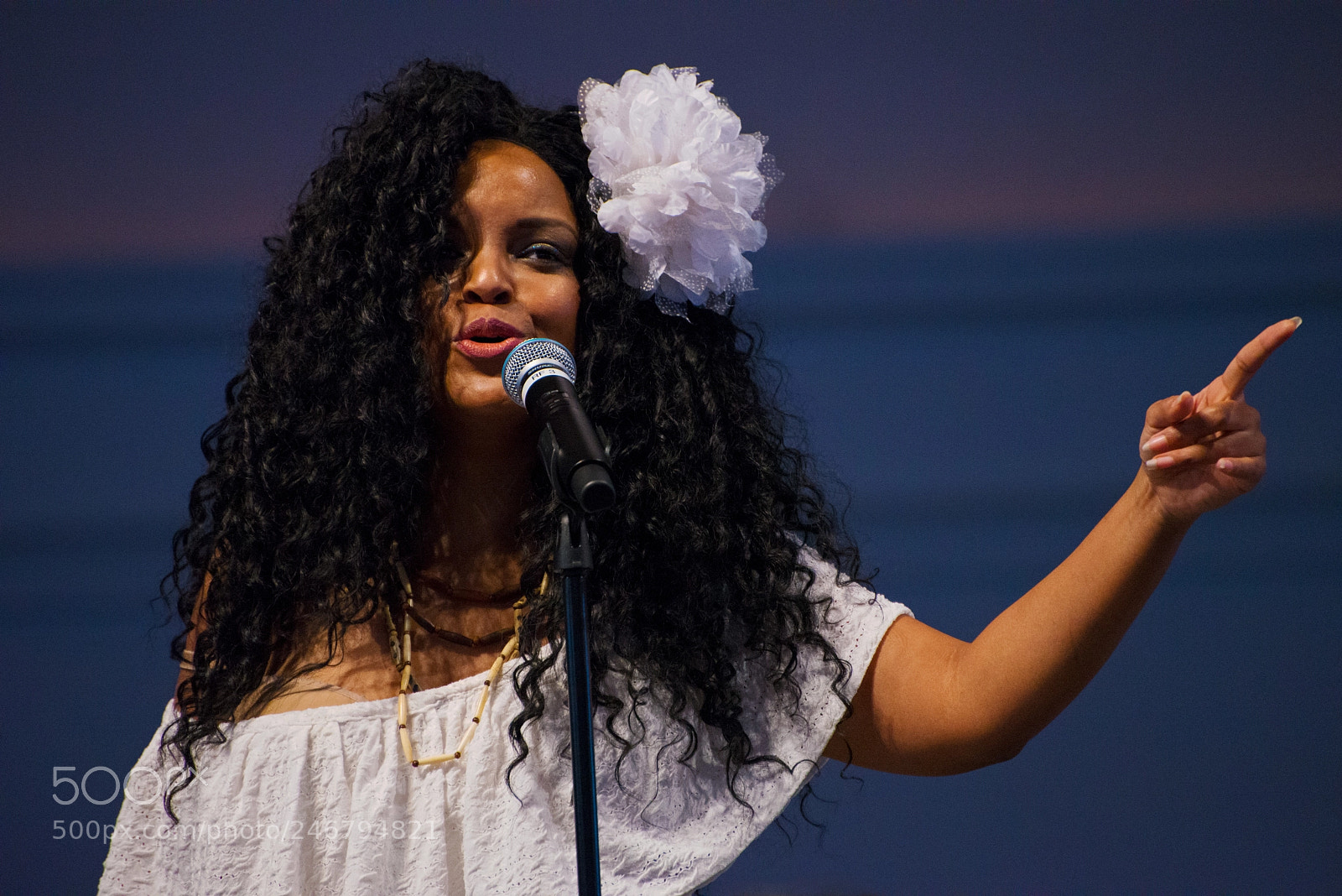 Nikon D610 sample photo. The samba singer photography