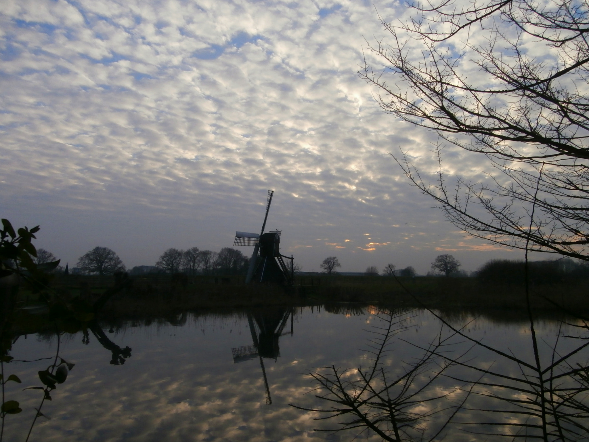 Olympus VR340,D750 sample photo. Sheep clouds sky. photography