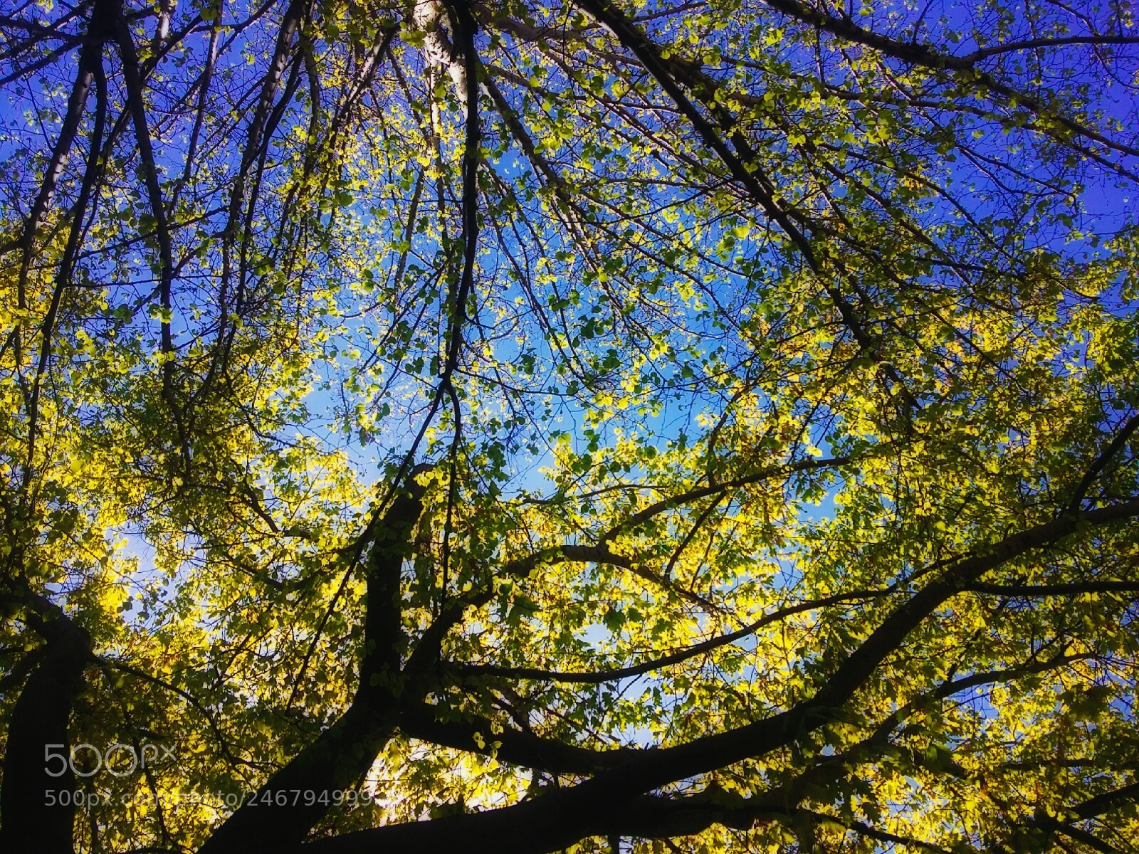 Samsung Galaxy Grand Prime sample photo. Colores photography