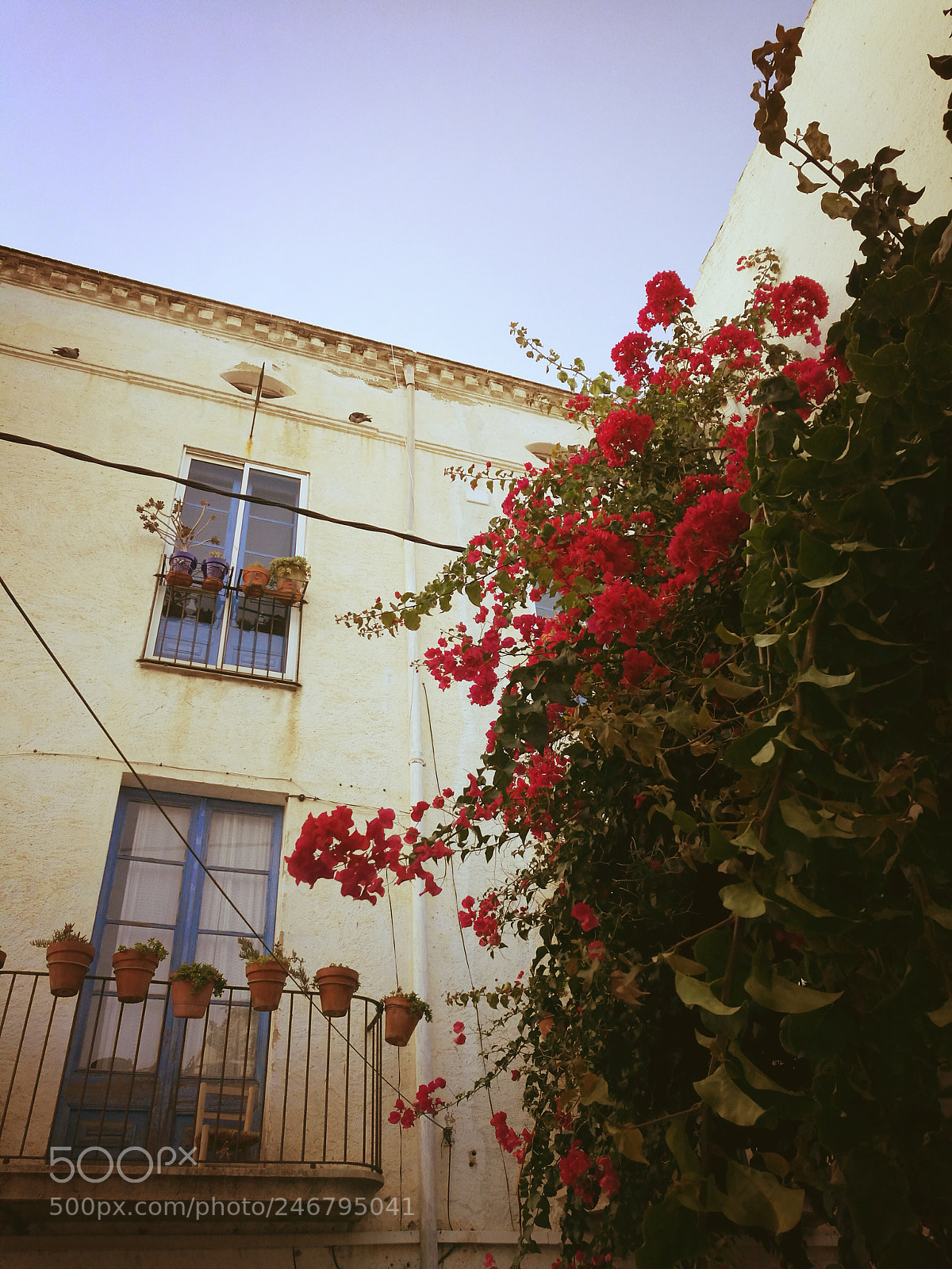 HUAWEI P9 sample photo. Street of cadaqués photography