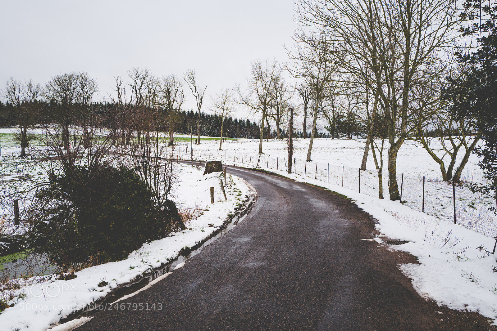 Leica Q (Typ 116) sample photo. Sur la route des photography