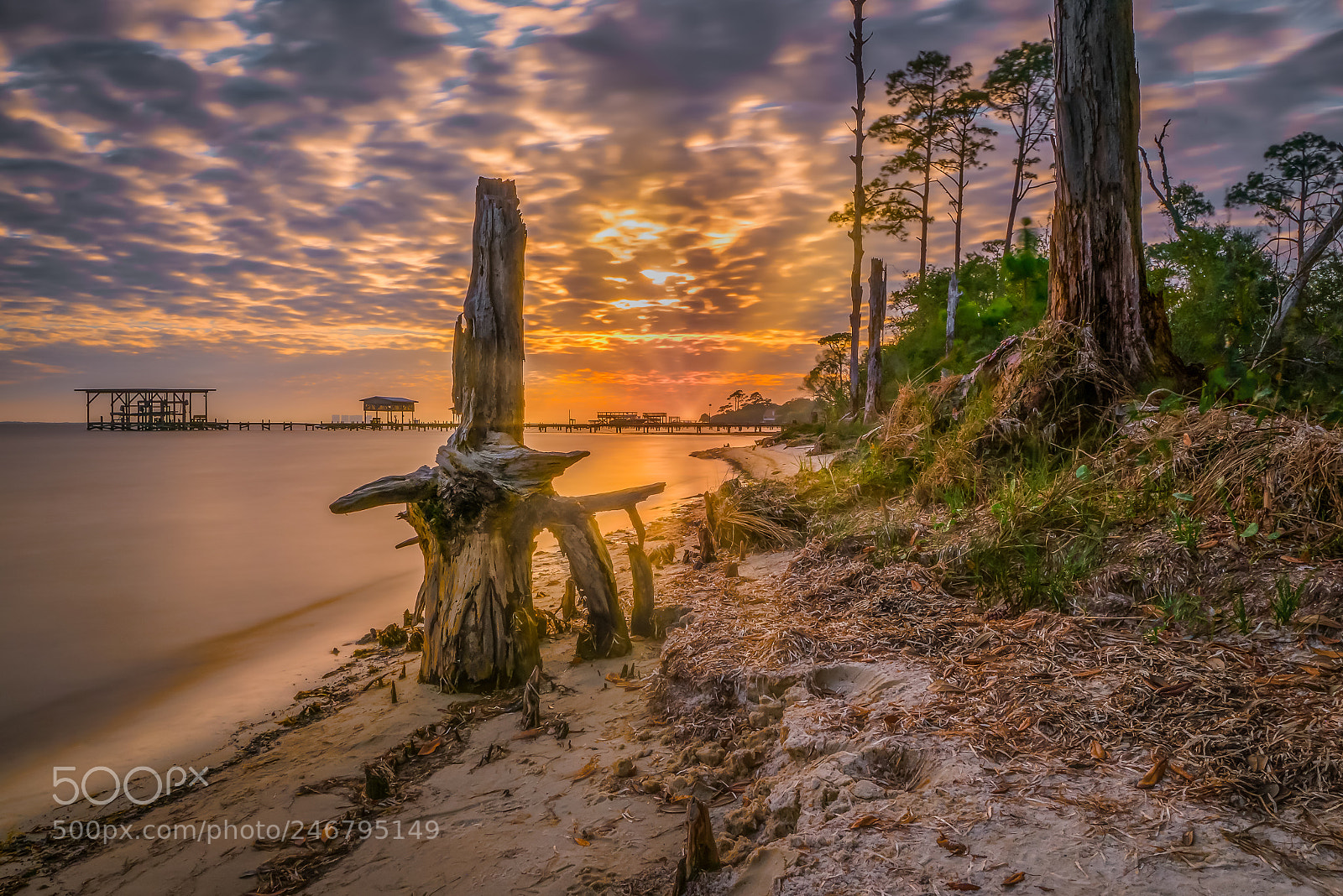 Sony a7R II sample photo. Shore golden hour photography