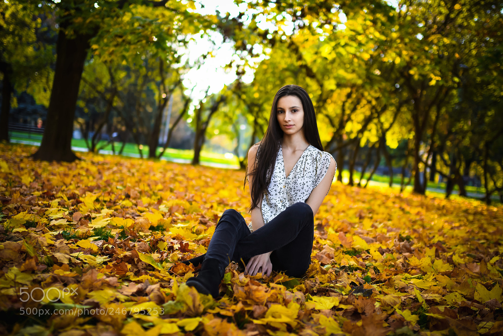 Nikon D810 sample photo. D photography