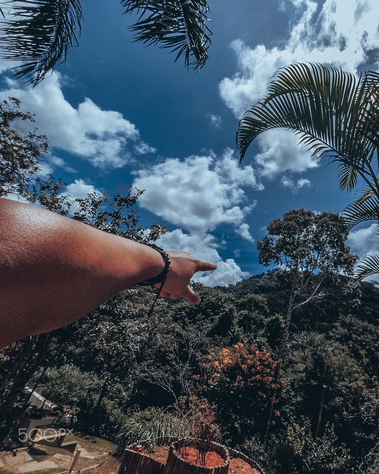 GoPro HERO5 Session sample photo. Look there! photography