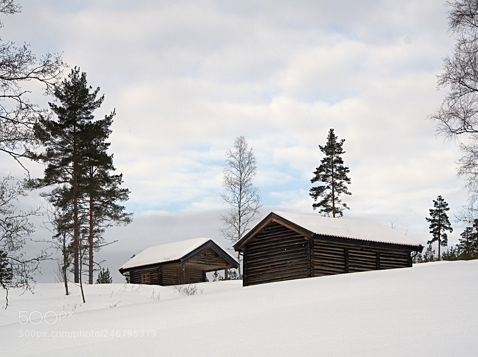 Olympus OM-D E-M5 II sample photo. Some blue sky photography