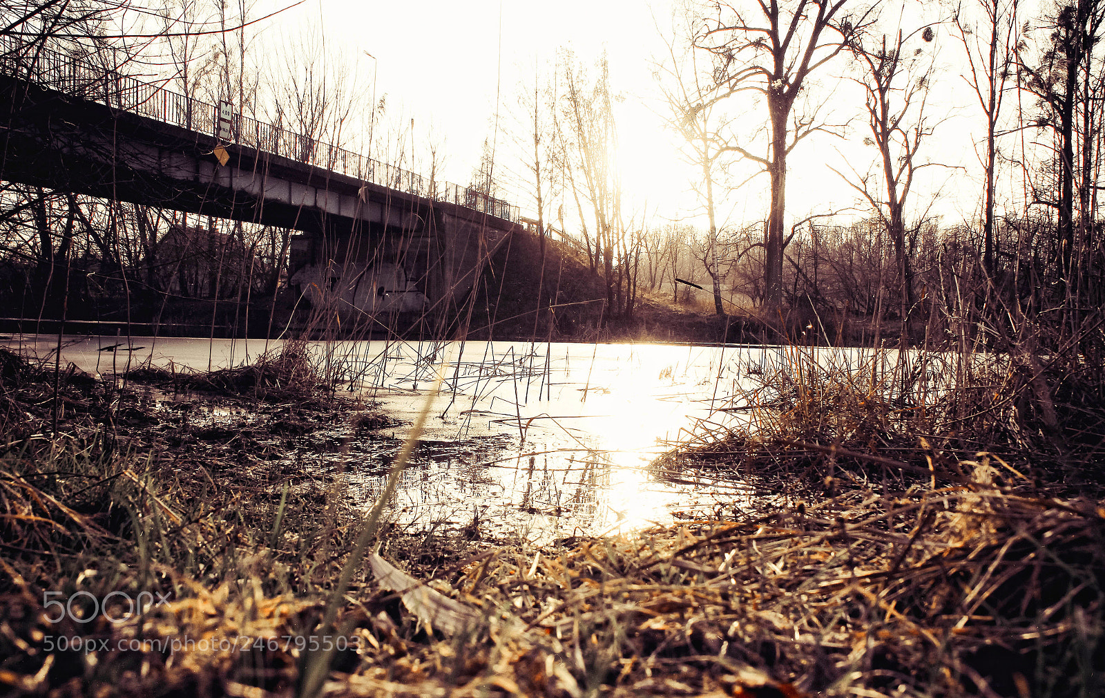 Canon EOS 50D sample photo. Winter sun photography