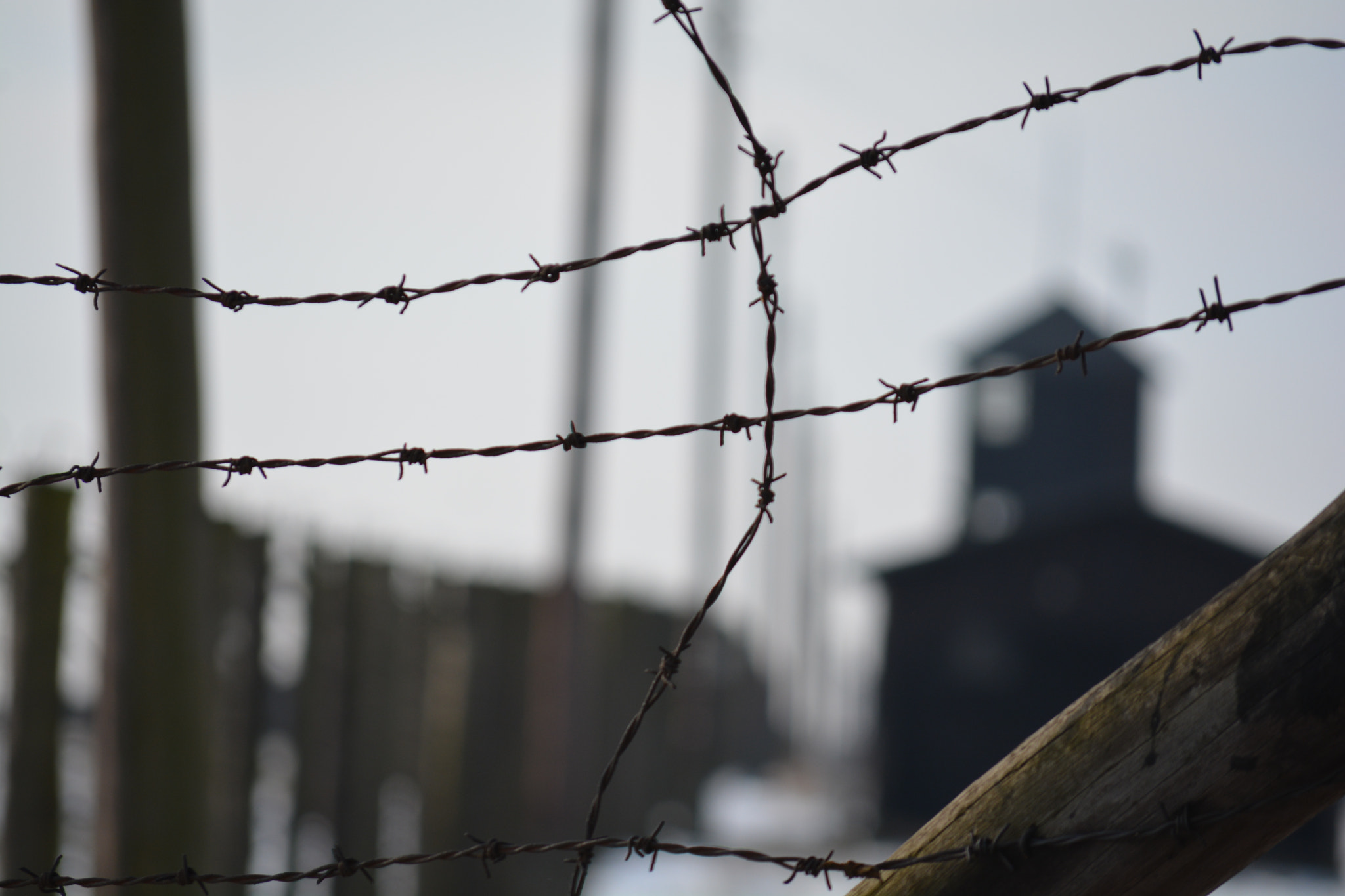 Nikon D5200 sample photo. Majdanek nazi death camp photography