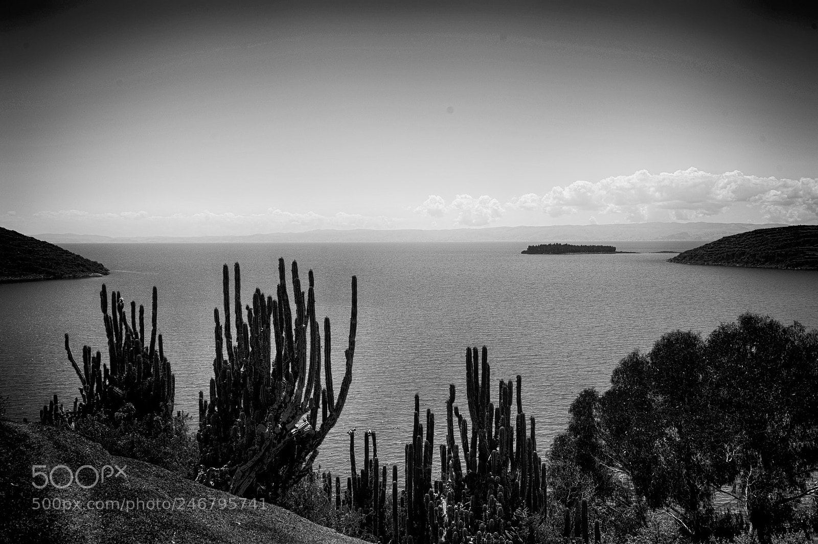 Nikon D700 sample photo. Bolivie lac titicaca photography