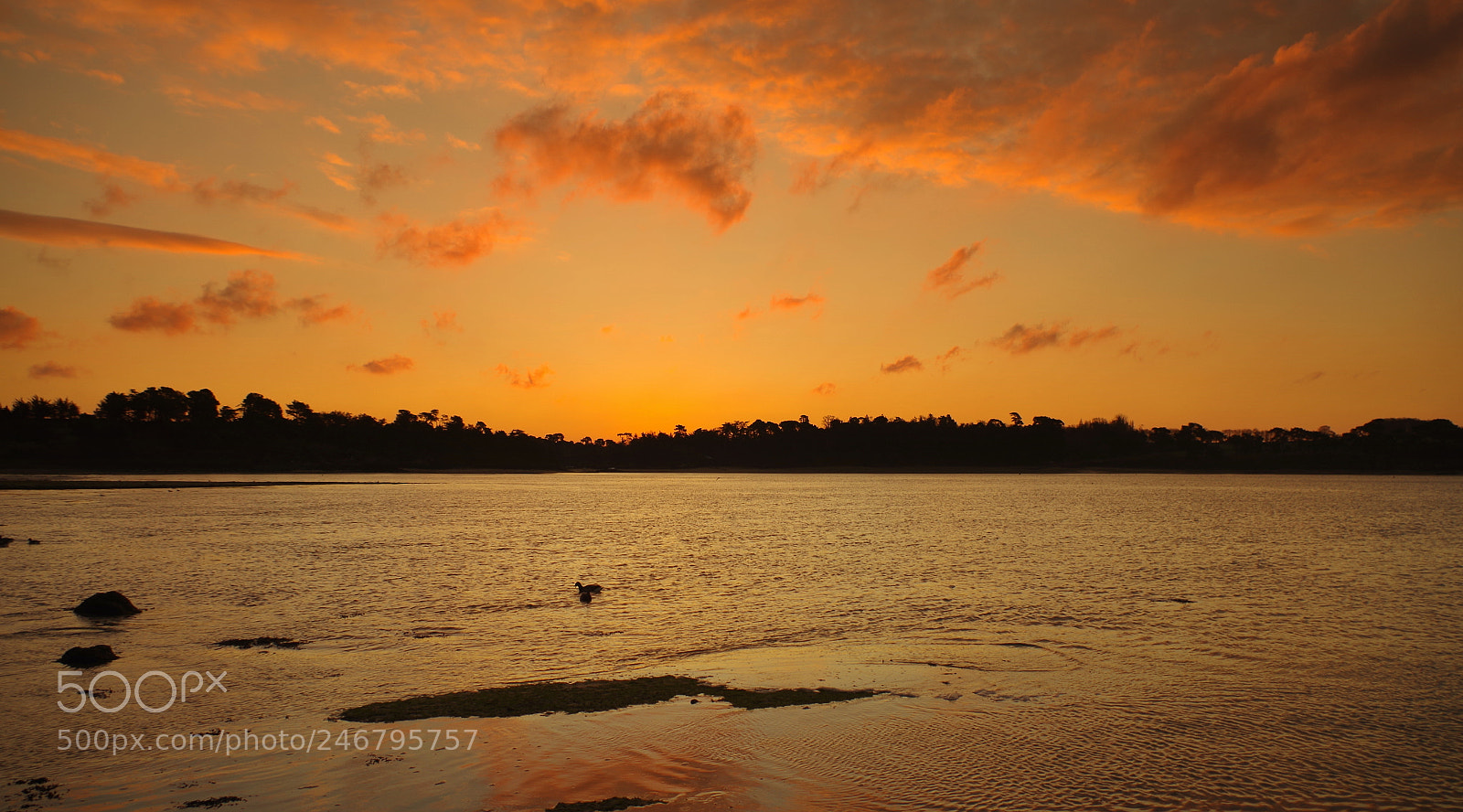 Pentax K-30 sample photo. Sunrise in the bay photography