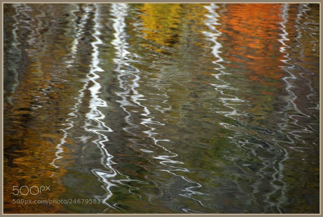 Nikon D7100 sample photo. Autumn abstract reflections photography