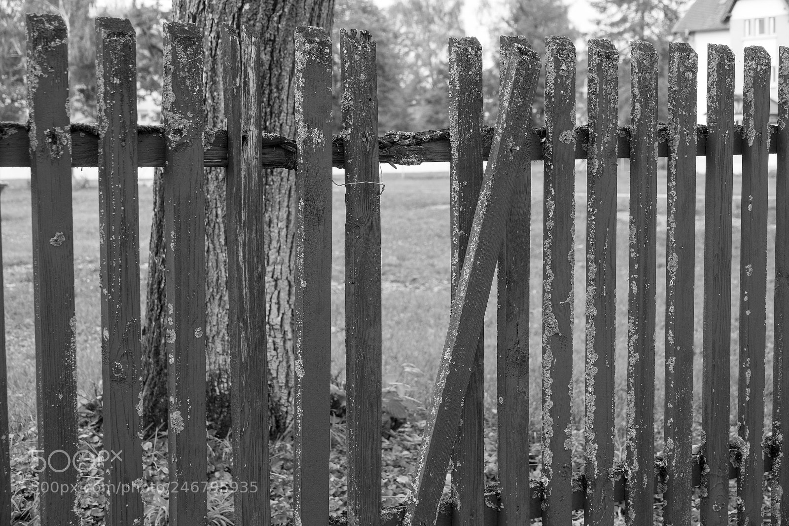 Sony Cyber-shot DSC-RX10 III sample photo. Broken fence photography