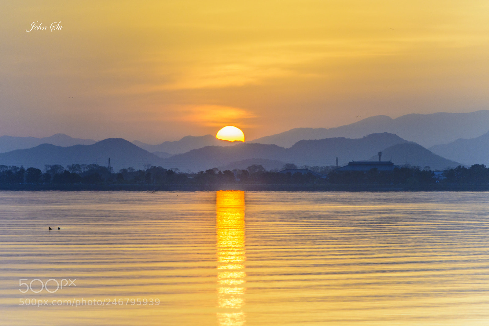 Nikon D800 sample photo. Lake biwa 琵琶湖 photography